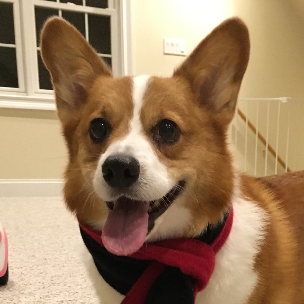 Meet your Posher, Alexa